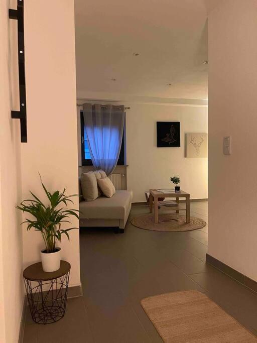Apartamento Wohnen Am Waldrand Mettlach Exterior foto